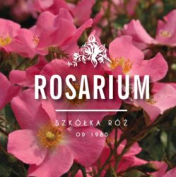 Rosarium